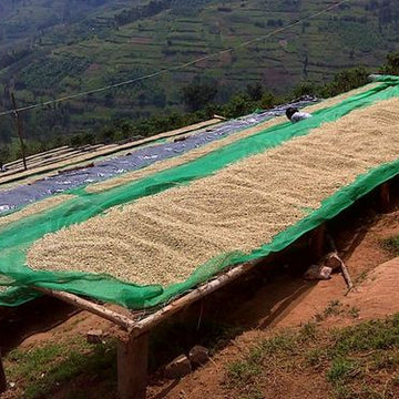 Belga & Co coffee roasters