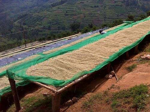 RWANDA KINAZI